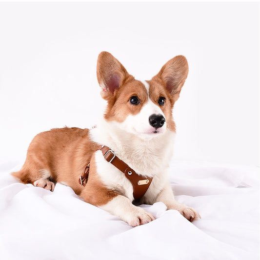 Tailored-Fit Leather Harness