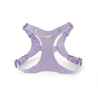 Tailored-Fit Leather Harness