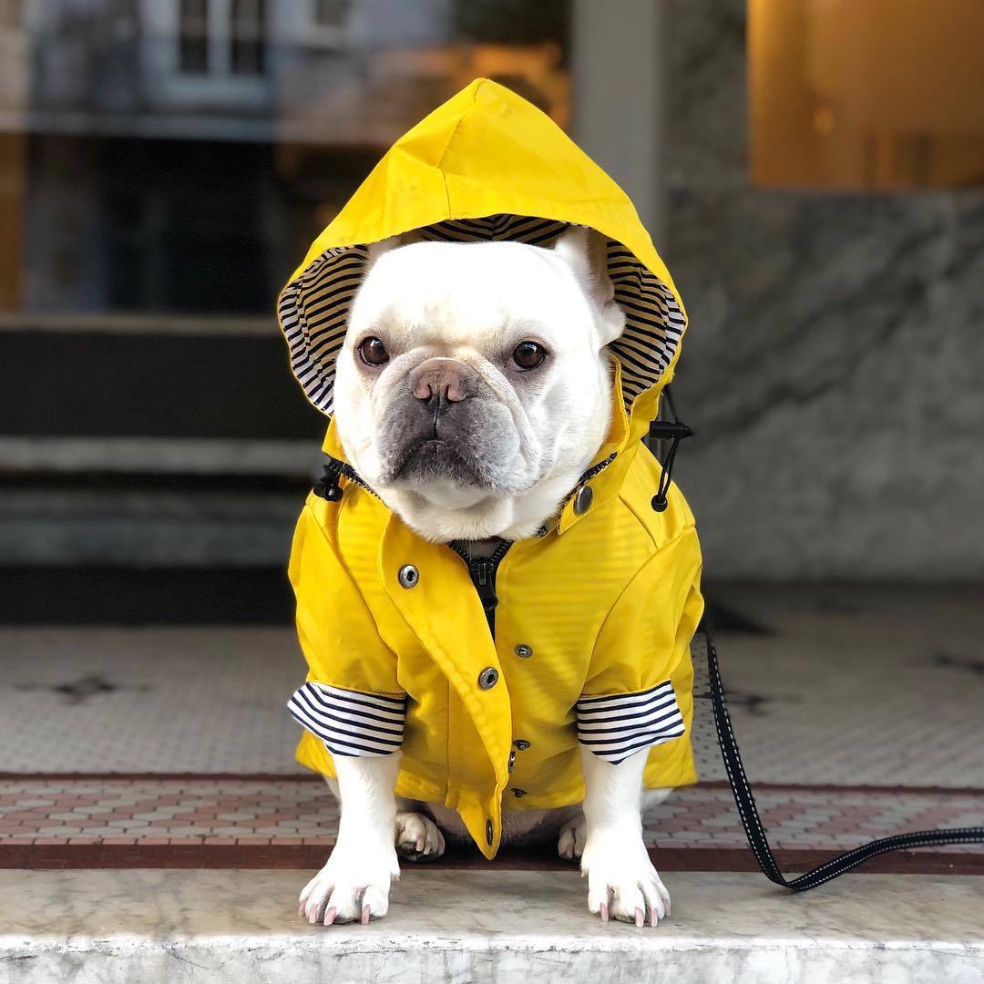 Paddington Retro Raincoat