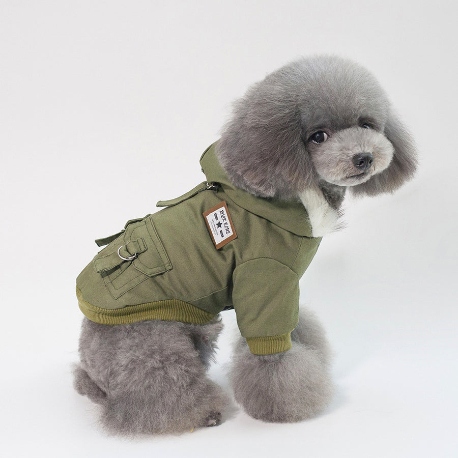 Small dog wearing a green jacket on a white background