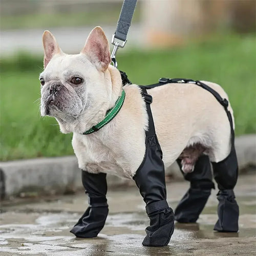 Harness‑Fit StormReady Paw Boots black rain boots dog front view