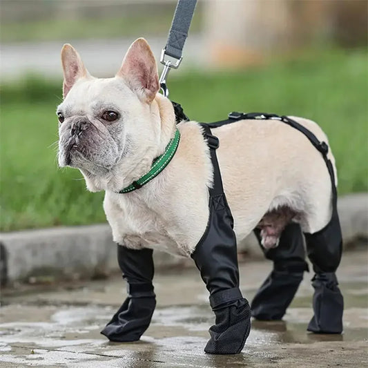 Harness‑Fit StormReady Paw Boots black rain boots dog front view