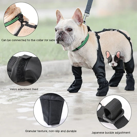 Dog wearing Harness‑Fit StormReady Paw Boots with various features highlighted