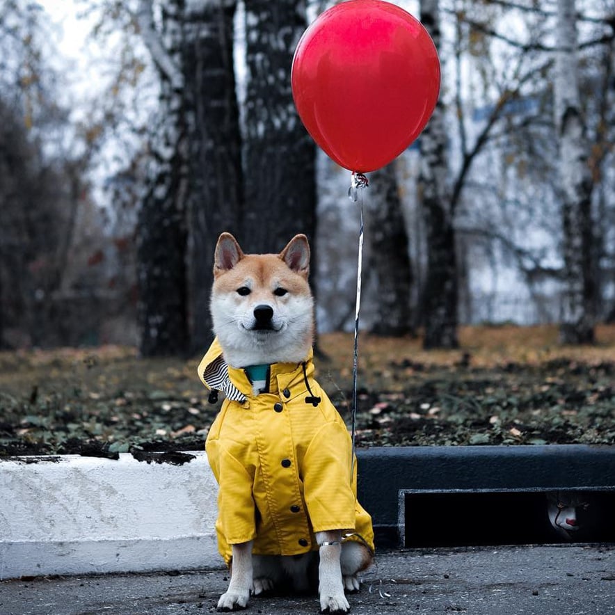 Paddington Retro Raincoat