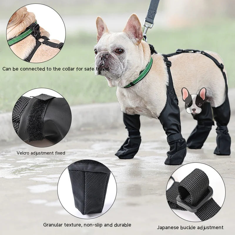 Dog wearing Rainy Day Bark Boots with various features highlighted