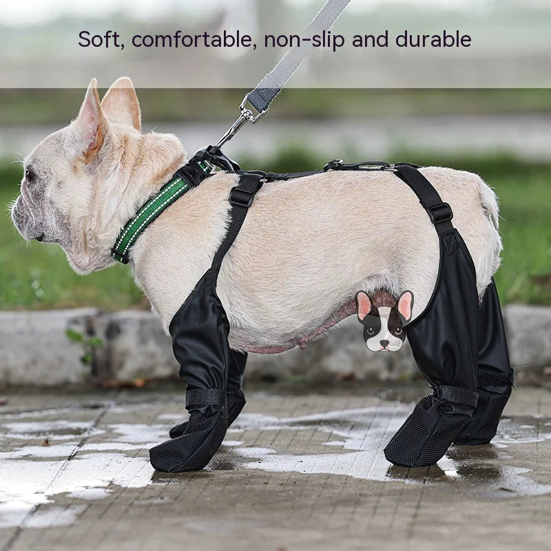 small dog wearing Rainy Day Bark Boots on wet sidewalk