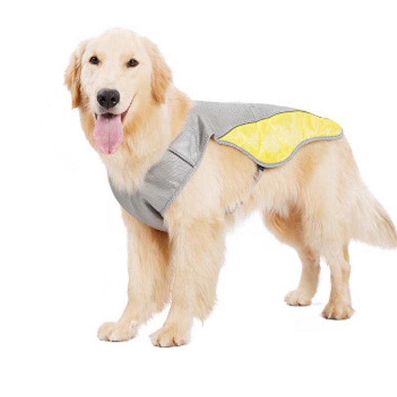Dog wearing a gray and yellow cooling vest on a white background