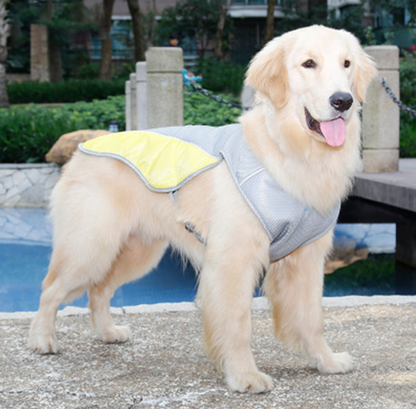 Dog wearing a gray and yellow vest outdoors