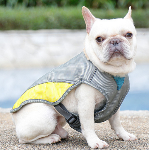 Dog wearing a gray and yellow vest outdoors