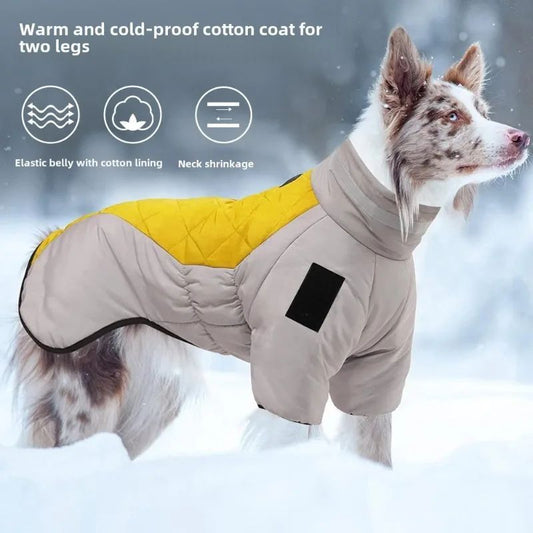Dog wearing a warm and cold-proof cotton coat with yellow and beige colors on a snowy background.