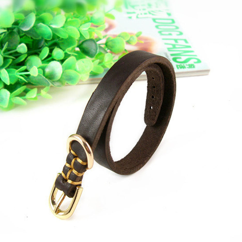 Genuine Leather Dog Collar